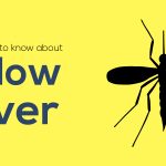 all you need to know about yellow fever