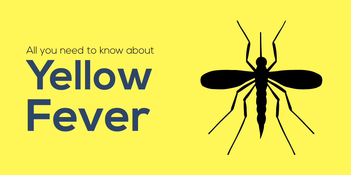 All You Need To Know About Yellow fever