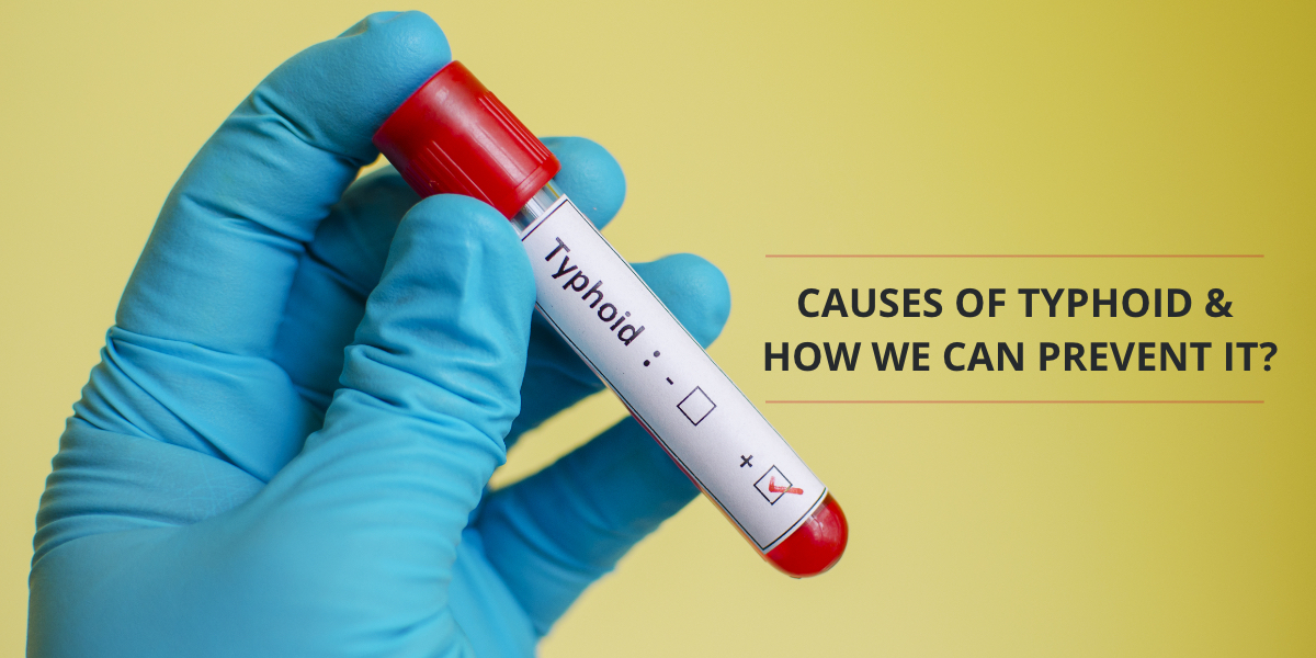 Causes_of_Typhoid_and_how_we_can_prevent_it