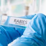 Vital rabies vaccine importance
