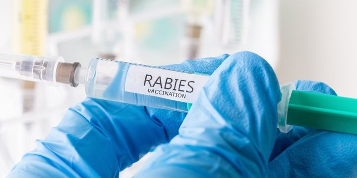 Vital rabies vaccine importance