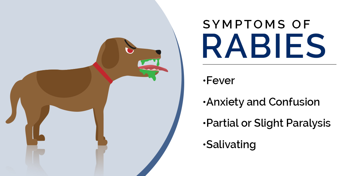 The Early Symptoms of Rabies