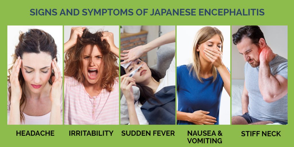 Japanese encephalitis Symptoms