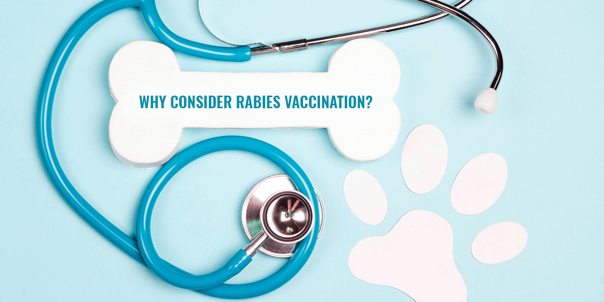 Why_consider_Rabies_Vaccination