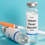 Why-is-the-Yellow-Fever-Vaccine-so-Important