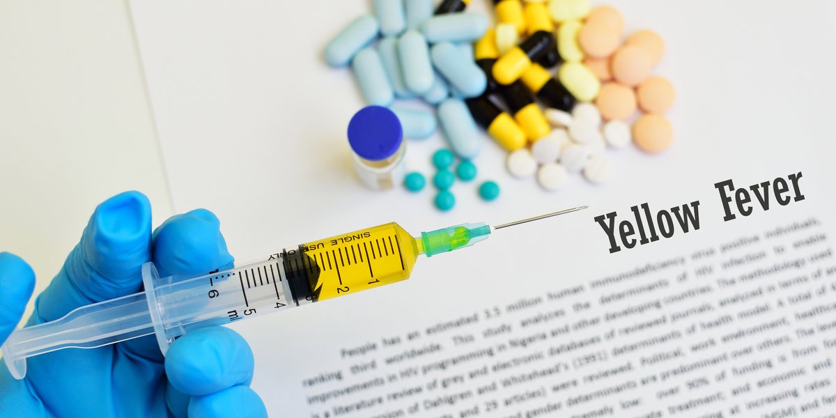 Everything you Need to Know About Yellow Fever