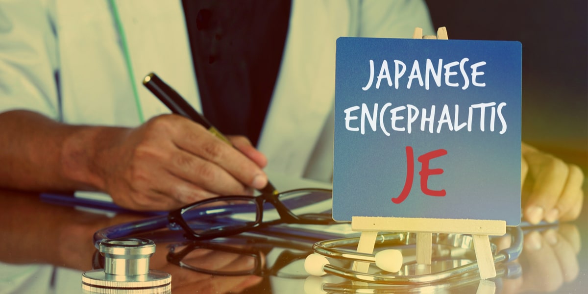 What are the Primary Symptoms of Japanese Encephalitis?