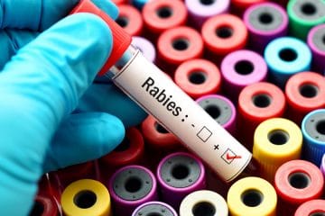 Rabies Vaccine - Touchwood Pharmacy