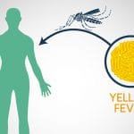 Benefits you get from Yellow Fever Vaccination