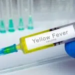 yellow fever vaccine