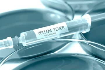 Yellow Fever Vaccination in Ramsgate and Northampton