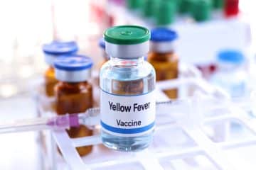 Yellow Fever Vaccination in Streatham