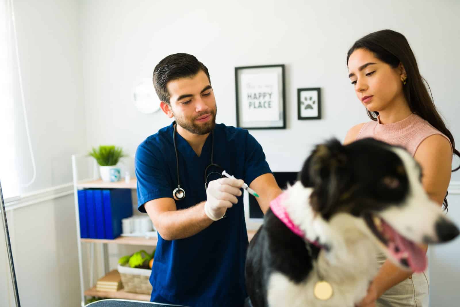 The-Importance-of-Rabies-Vaccination-Protecting-Pets-and-People