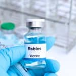 Rabies vaccination for travelers