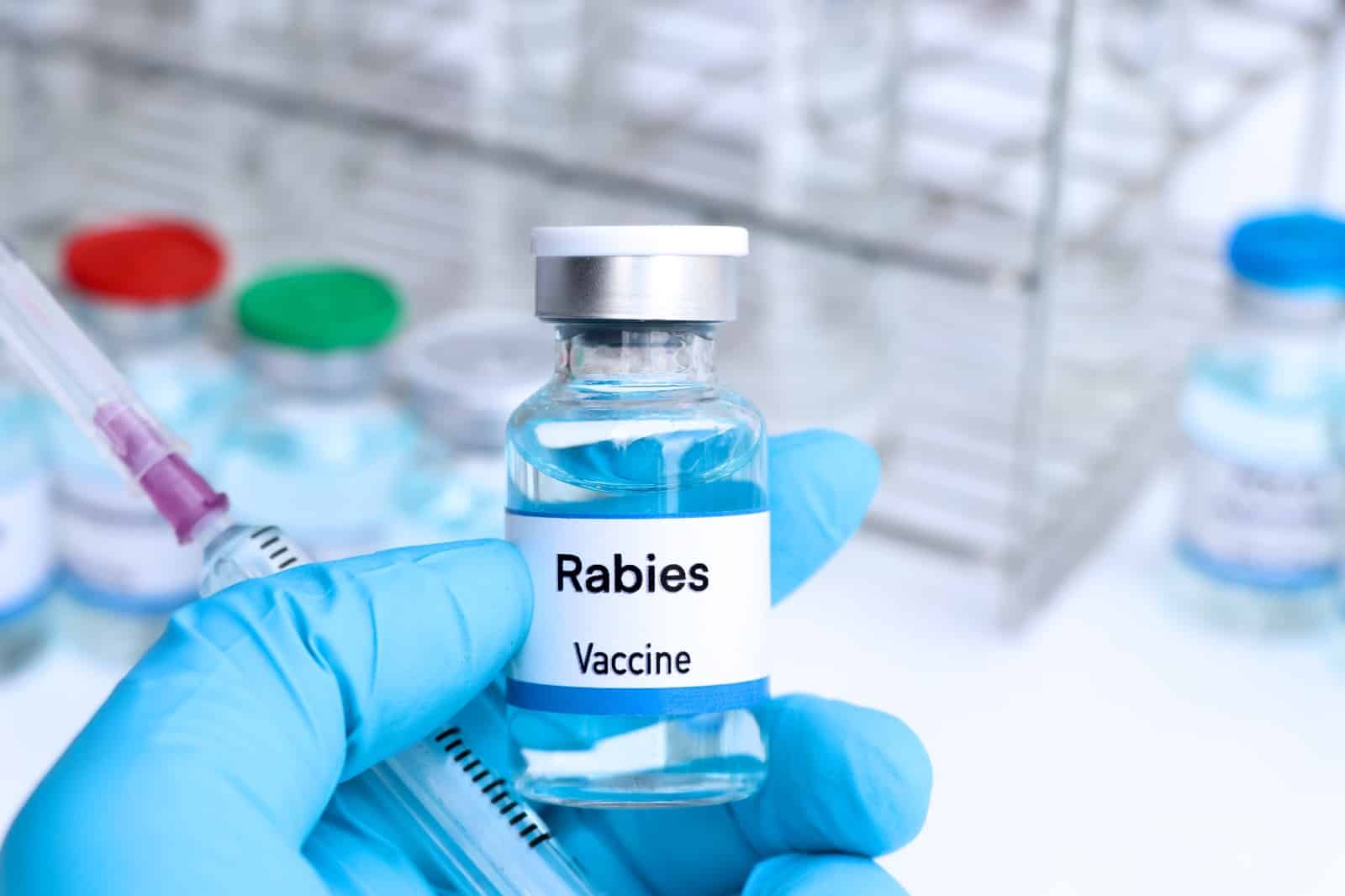Rabies-vaccination-for-travelers