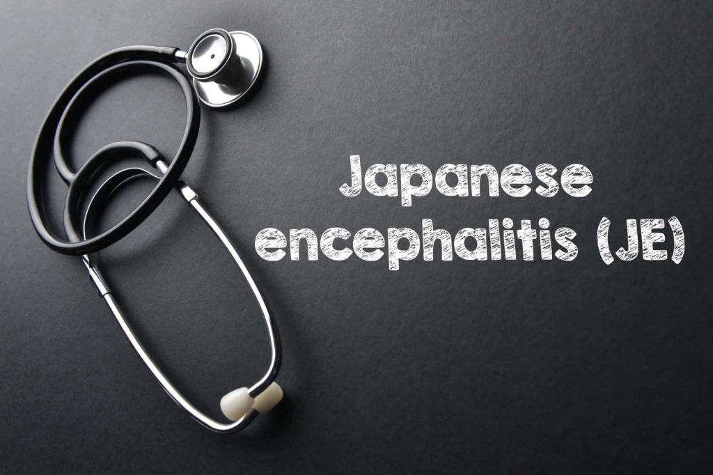 Understanding japanese encephalitis before your trip