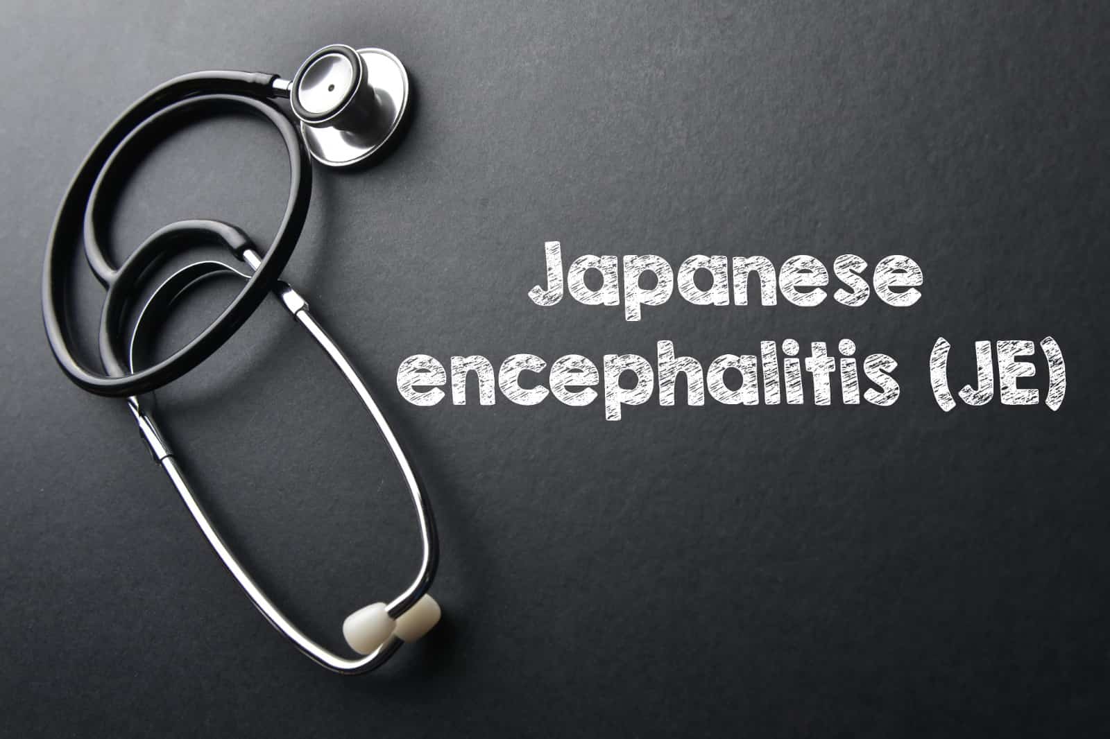 exploring-causes-of-japanese-encephalitis-while-travelling-abroad