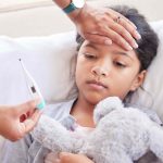 how typhoid fever is transmitted