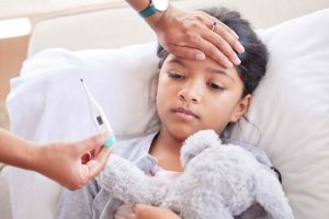 how typhoid fever is transmitted