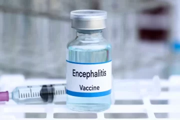 japanese encephalitis vaccine for travel protection