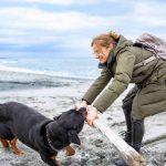 what to do after an animal bite abroad