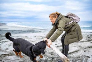 what to do after an animal bite abroad