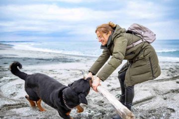 what to do after an animal bite abroad
