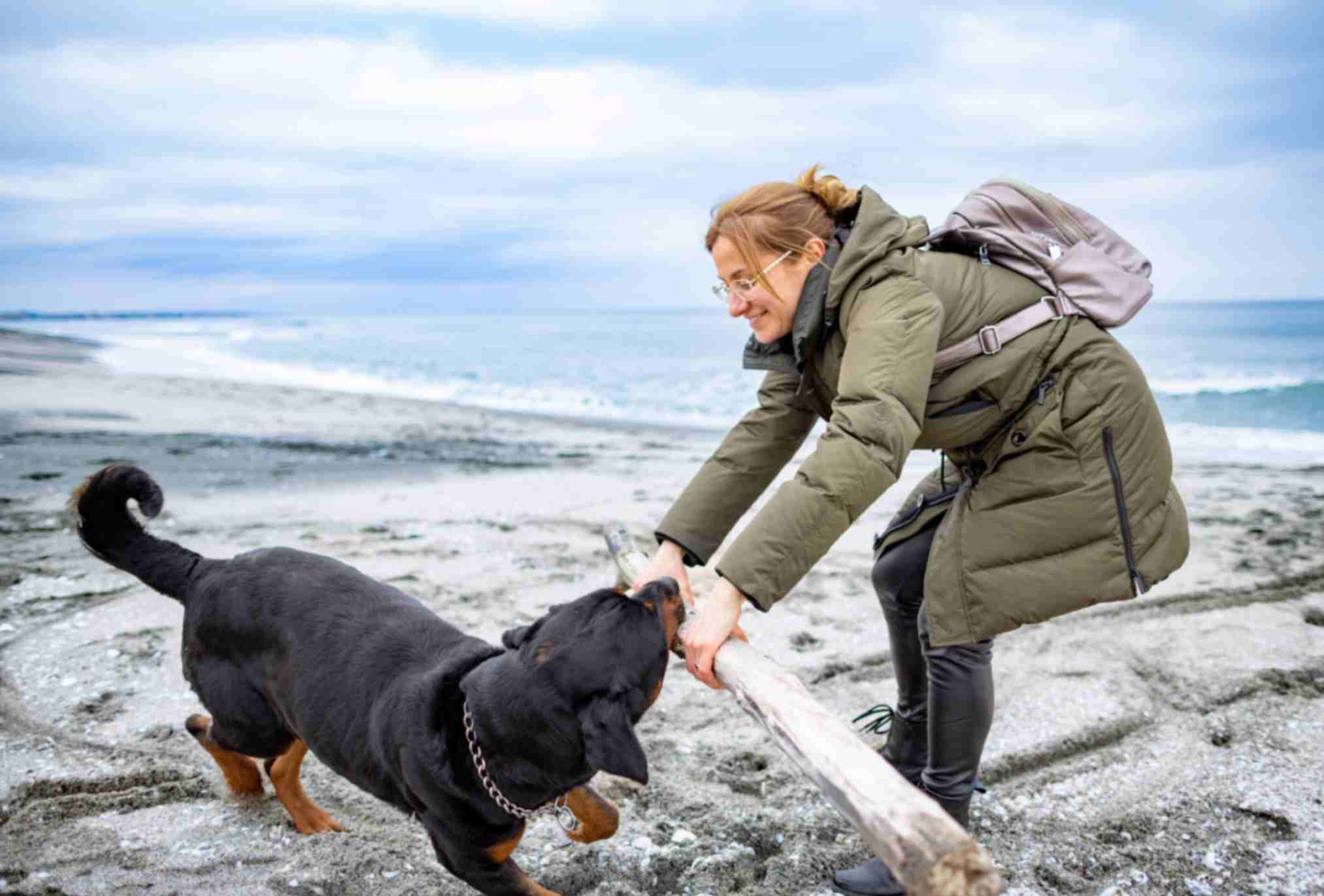 what-to-do-after-an-animal-bite-abroad